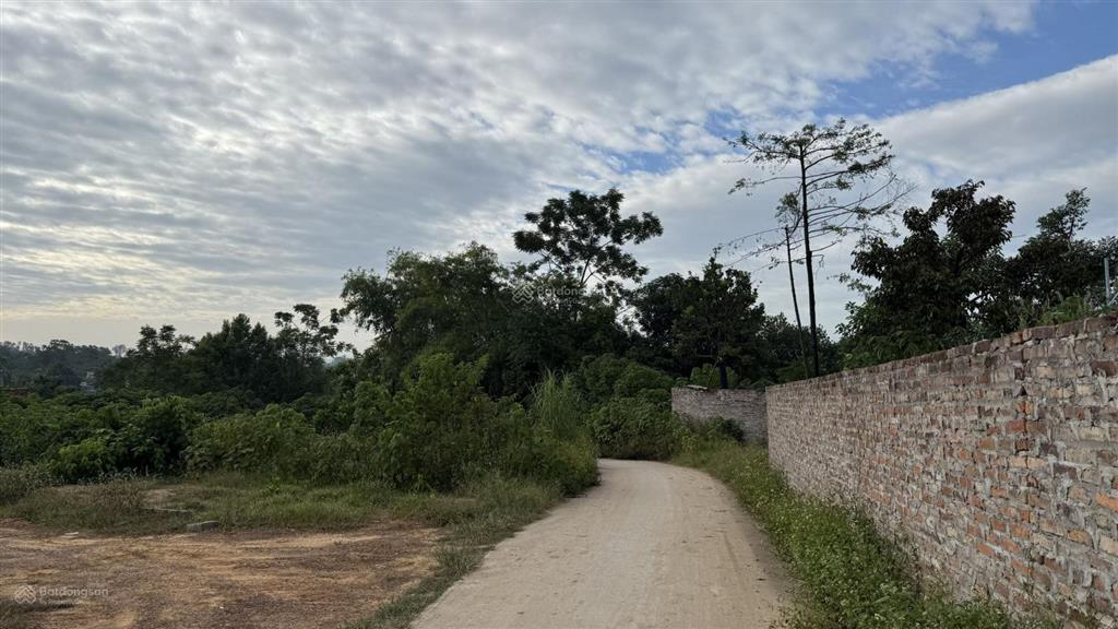 Bán 966m2 mặt tiền 43m đất ninh hà  kim long cũ  giờ là tam dương  phú thọ ngay gần nhà văn hoá