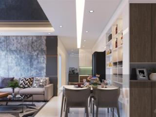 Cần bán căn hộ penthouse chung cư res green tower, q. tân phú, dt 160m2, 4pn, giá 9 tỷ, sổ