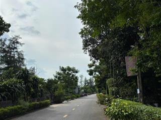 Bán lô đất đẹp xã xuân thành ,huyện nghi xuân , hà tĩnh