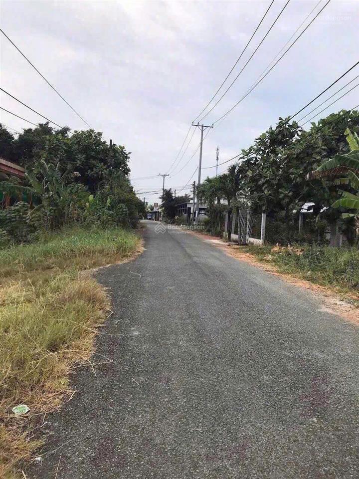 Bán 2 lô đất liền kề mặt tiền đường nhựa trần văn ngà, tân an, long an 1,350ty/lô