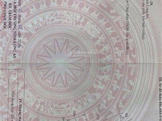 Bán 2 lô đất liền kề mặt tiền đường nhựa trần văn ngà, tân an, long an 1,350ty/lô