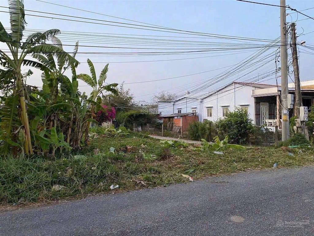 Bán 2 lô đất liền kề mặt tiền đường nhựa trần văn ngà, tân an, long an 1,350ty/lô