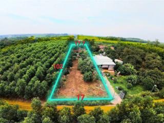 1650m2 đất ở cẩm mỹ, cách sân bay long thành chỉ 20p xe máy, xung quanh là nhà thờ, chợ, trường học