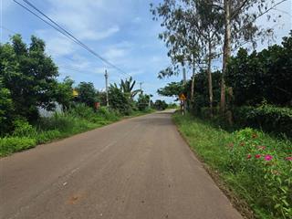 10.816m2 đất view sông ở đồng nai. thích hợp làm homestay, farmstay, xây khu nghỉ dưỡng gia đình