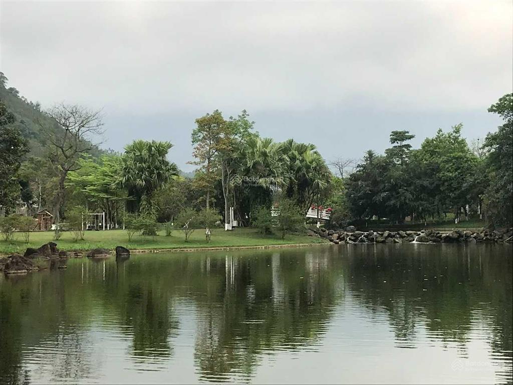 Em gắn bó, sâu xát với xanh villas ngay từ đầu. chuyên nghiệp, không làm phiền và vào việc luôn ạ