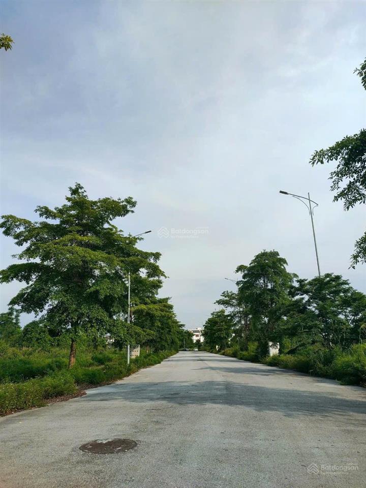 Bán lô đất biệt thự mậu lâm, khai quang giáp vách khu đô thị nam vĩnh yên