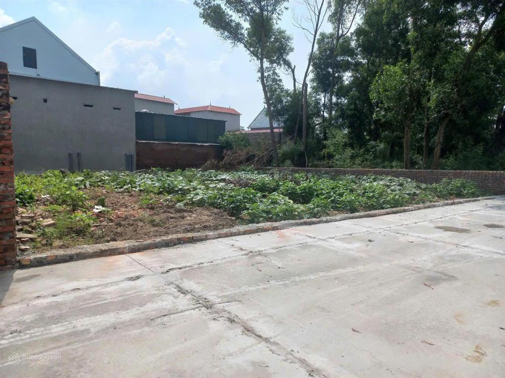 Siêu phẩm 2 mặt tiền giá chỉ 950 triệu đất đẹp ngay làng gốm phù lãng quế võ bắc ninh