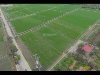 Chuyển nhượng đất nông nghiệp tại lương tài, bắc ninh, 0986 287 ***