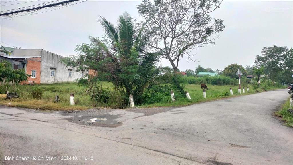 Chính chủ bán lô đất 1000m2 thuộc xã hưng long, bình chánh, mặt tiền đường nhựa giá 4,5 tỷ tl