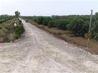 Chủ cần bán 500m2 (9 x 55,5m) đất vườn đang trồng chanh, giá 360tr lô, tổng có 24 lô liền nhau