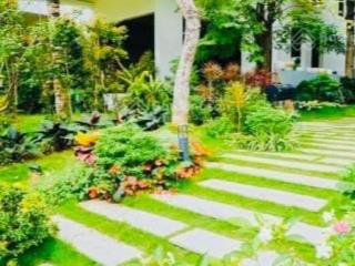 Chính chủ cần bán gấp căn biệt thự song lập góc, sân vườn siêu rộng, nội thất cao cấp tại ecopark