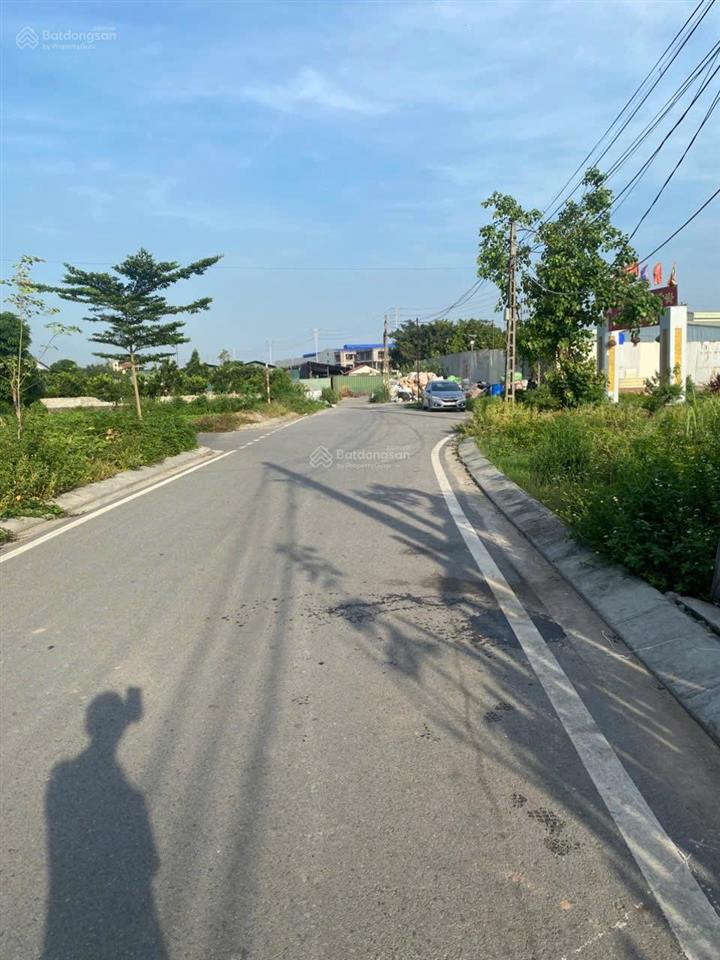 Chính chủ bán đất đấu giá trung ngọc, tân quang, văn lâm. sát vinhomes gia lâm chỉ 1km