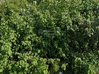 Bán mặt tiền đường nhựa hàn mặc tử, phú hài gần bãi tắm biển, nơi tập trung nhiều resort