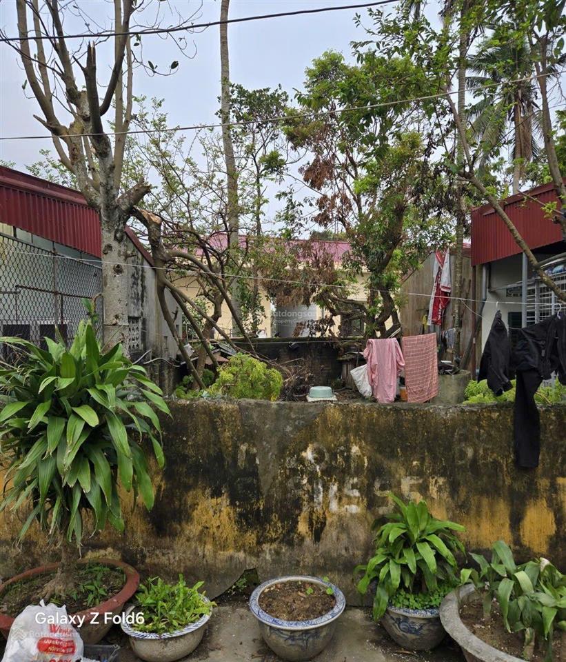 Lê lợi  an dương  hải phòng. dt 45m2. bán kính 200m cách đường world bank, chợ, tt xã lê lợi