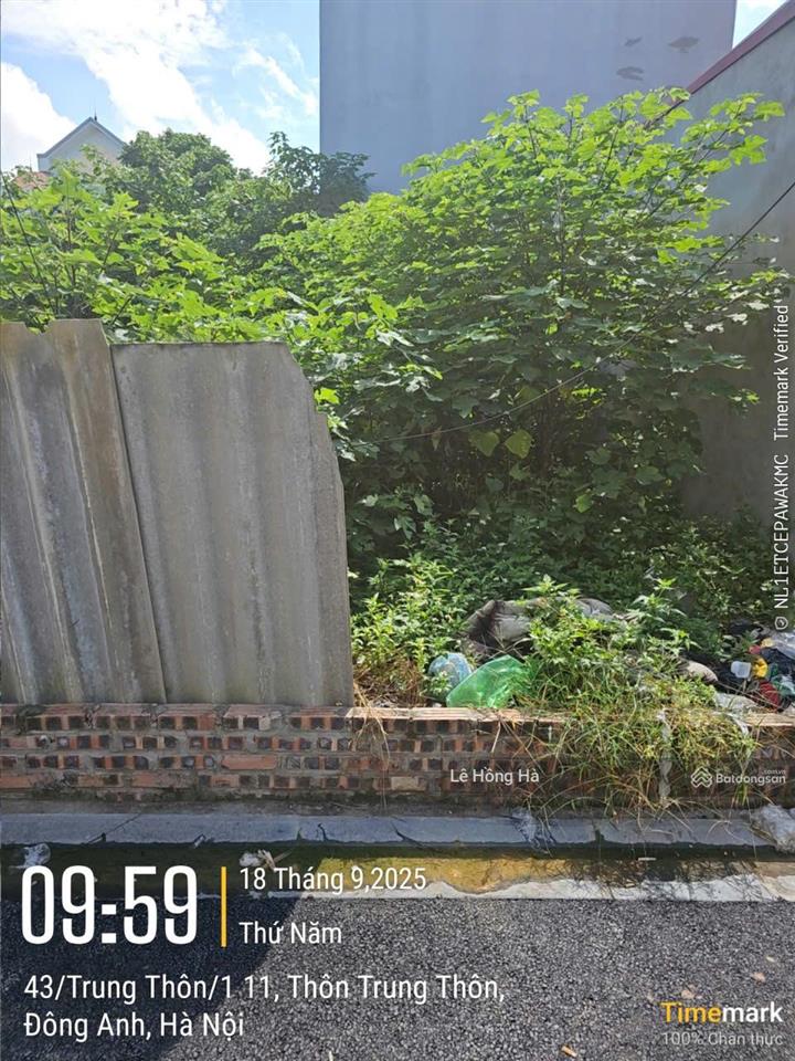 Chính chủ bán đất 73.5m² đông ngàn, đông anh cách cầu đông trù 500m, đường 3m, giá 95tr/m²