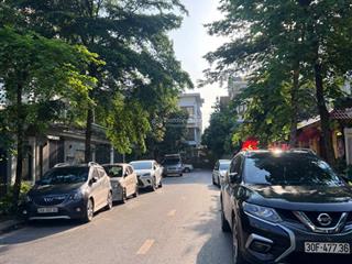 Chính chủ cho thuê biệt thự vị trí vip đẹp khu ngoại giao đoàn, dt 300m2, lô góc