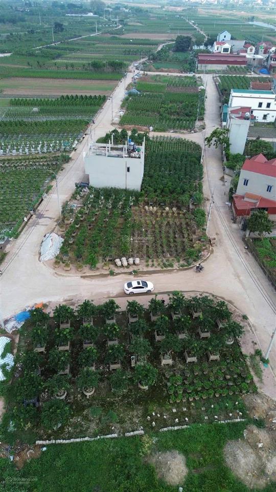 Bán đất đấu giá lô góc hoàng trạch, mễ sở, trong khu dân cư, đường và vỉa hè 12m, tiện ích đầy đủ