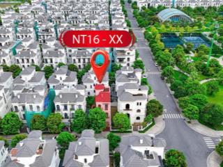 Bán biệt thự song lập đảo lớn, vị trí trung tâm cực đẹp