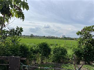 Em bán đất giãn dân ngọc nội, trạm lộ, thuận thành, bắc ninh