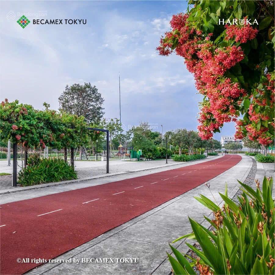 Bán nhà phố haruka midori park, 1 trệt 3 lầu 1 sân thượng, dt đất 114m2, giá 10,3 tỷ