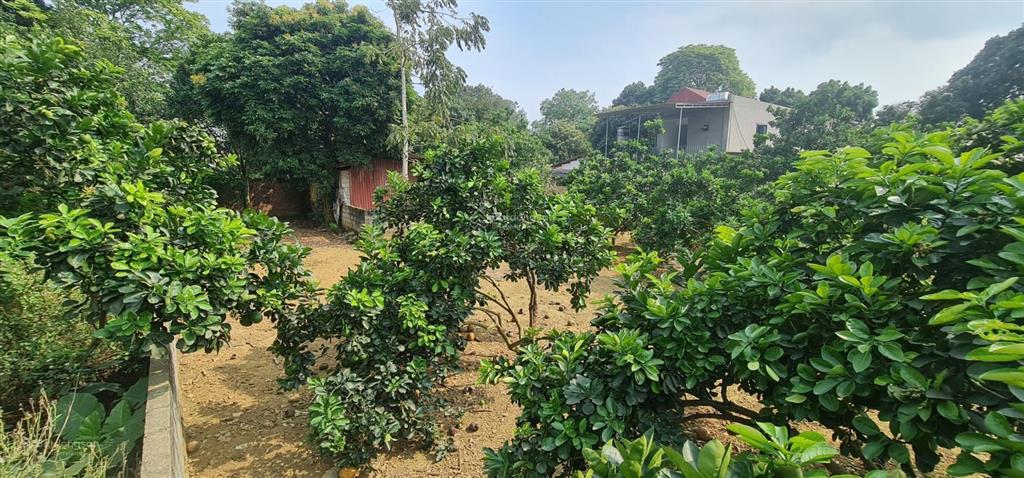 Đất xây phòng trọ sát kcn lương sơn, hòa bình 100m2 giá 660tr(5x21m)