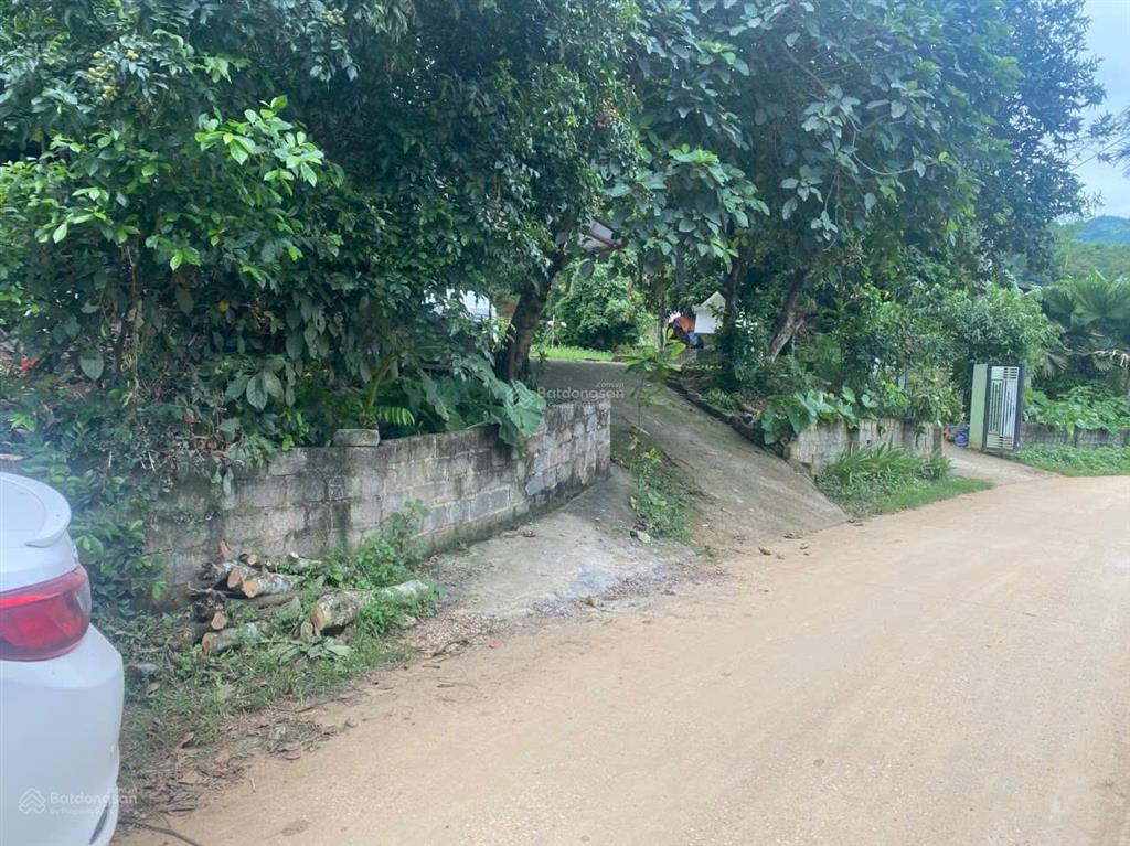 Chính chủ cần bán 600m2 đất full thổ cư bám mặt đường bê tông thôn 20m