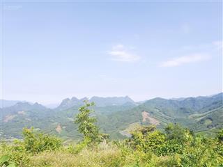 Bán 2ha đất rừng sản xuất view đẹp giá rẻ, phù hợp làm nghỉ dưỡng, làm trại gà