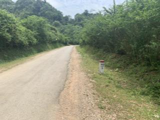 Cần tiền gấp giá nào cũng bán 11.3ha đất rừng sx bám 500m đường nhựa kim bôi