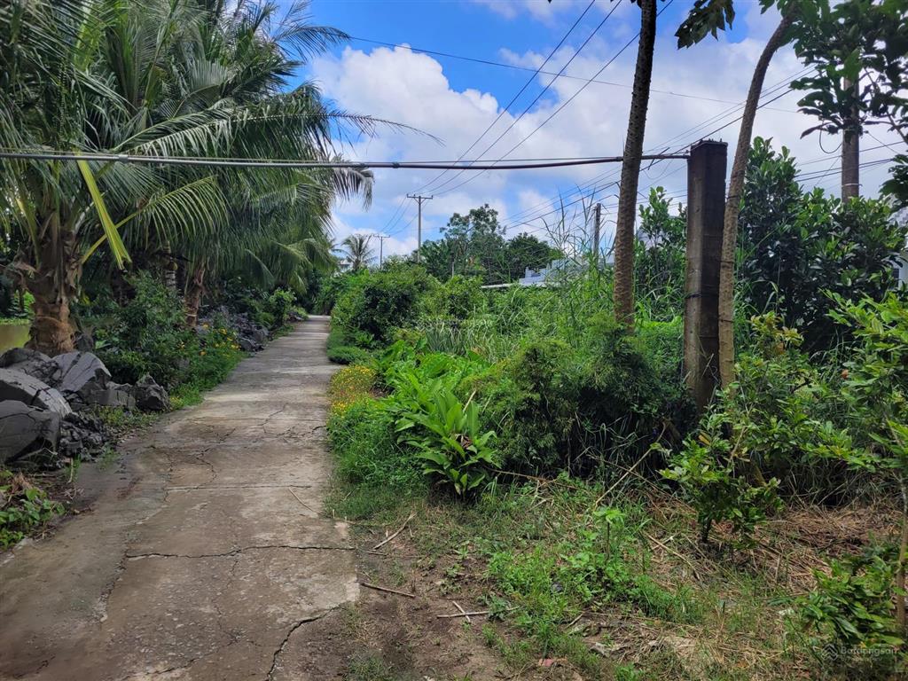 Bán đất tại xã vị thủy, hậu giang, giá 1,857 tỷ, diện tích 2000 m2 có 1811m2 thổ cư
