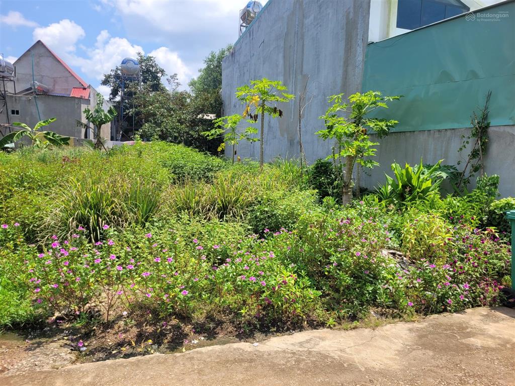 Bán đất tại thị trấn tân phú, đồng phú, bình phước, giá 935tr, 277 m2