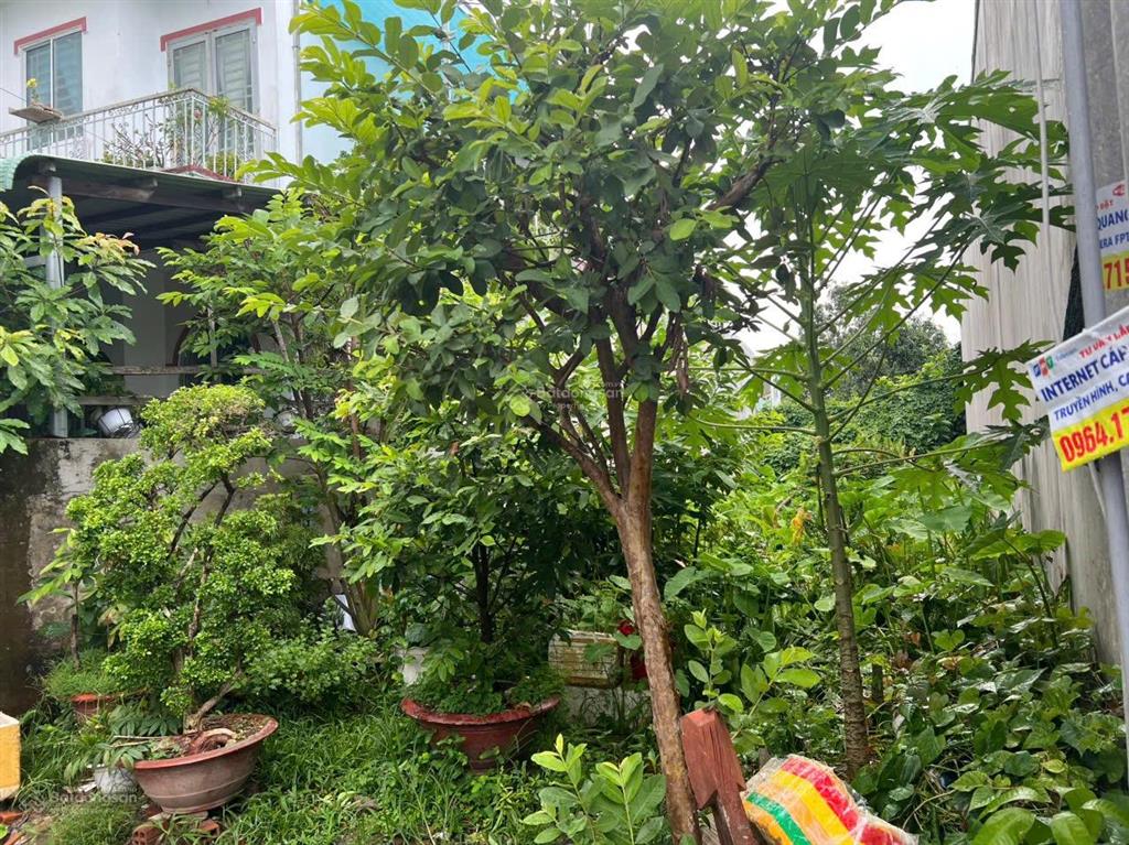 Bán đất tại hẻm đường phạm hùng, lê bình, cái răng, cần thơ, 1,304 tỷ, 113m2 đẹp, thương lượng