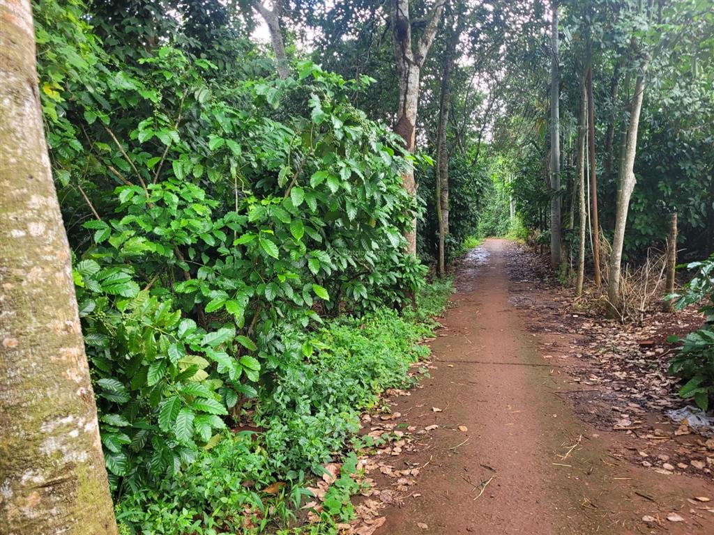 Bán đất ngãi giao, châu đức, vũng tàu giá 2.222 tỷ vnd, diện tích 1519 m2