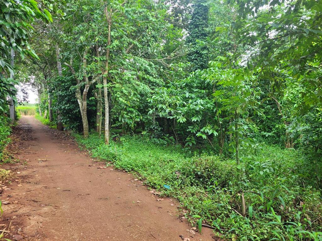 Bán đất ngãi giao, châu đức, vũng tàu giá 2.222 tỷ vnd, diện tích 1519 m2