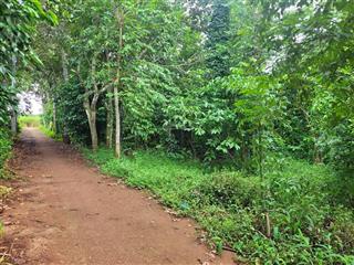 Bán đất ngãi giao, châu đức, vũng tàu giá 2.222 tỷ vnd, diện tích 1519 m2