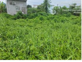 Bán đất tại mỹ hòa, long xuyên, an giang, giá siêu hời 5 tỷ, 298m2