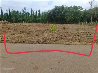 Bán đất đẹp tại xã láng lớn, châu đức, bà rịa vũng tàu, giá siêu hời 2,3 tỷ, 571,8m2