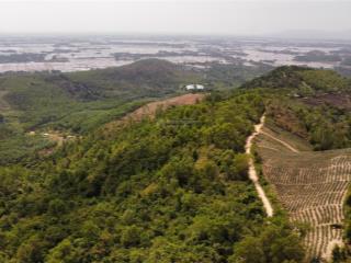 5ha đất view núi chóp chài khu vực hoà quang nam, cách tuy hoà 25km, giá mềm