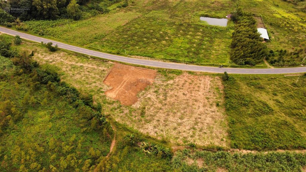 Lô đất mặt tiền quốc lộ 19c, diện tích 1200m2, full thổ cư