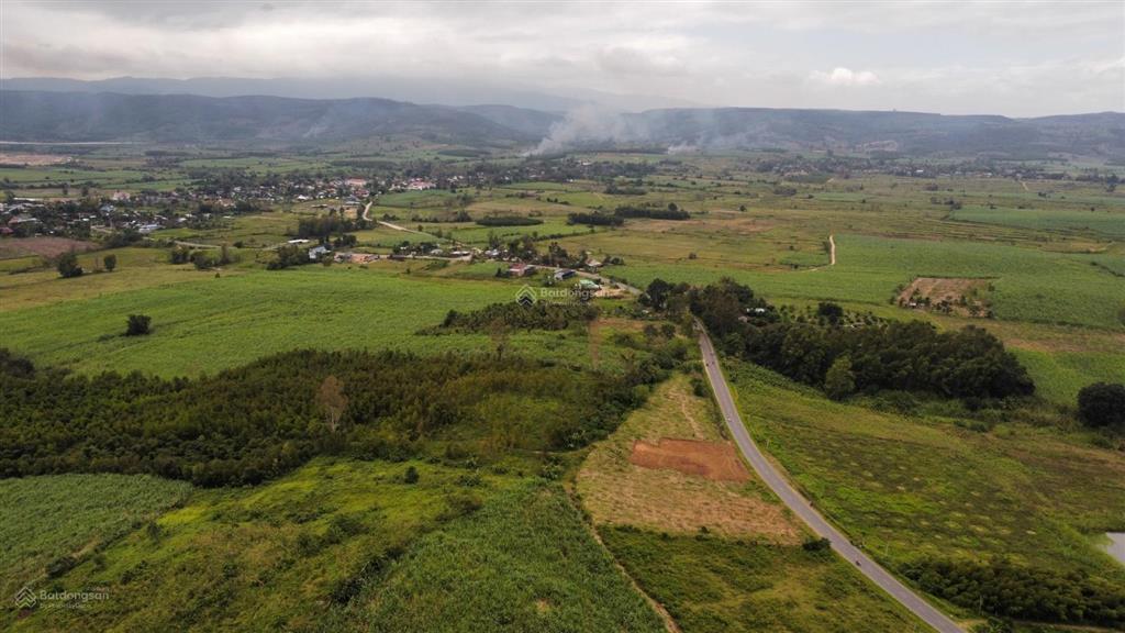 Lô đất mặt tiền quốc lộ 19c, diện tích 1200m2, full thổ cư