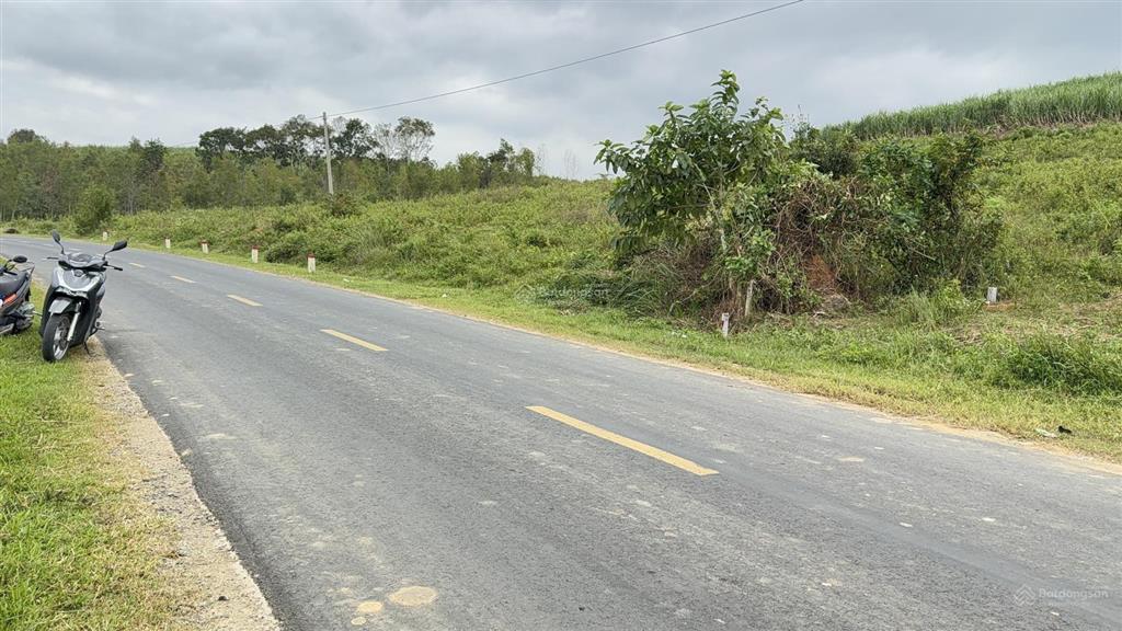 Lô đất mặt tiền quốc lộ 19c, diện tích 1200m2, full thổ cư