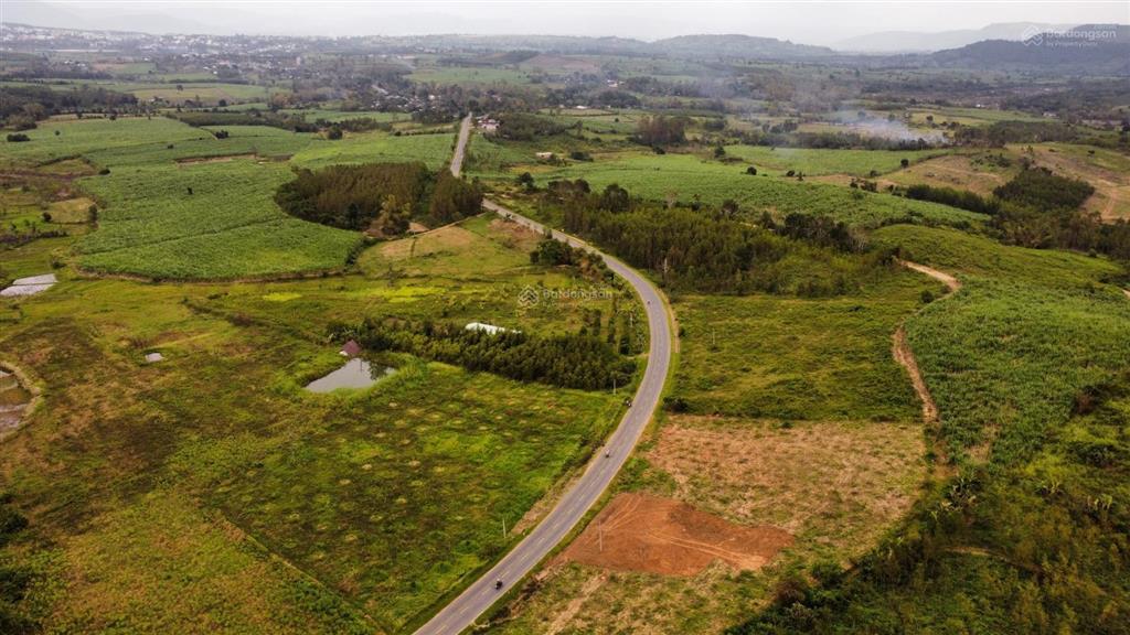 Lô đất mặt tiền quốc lộ 19c, diện tích 1200m2, full thổ cư