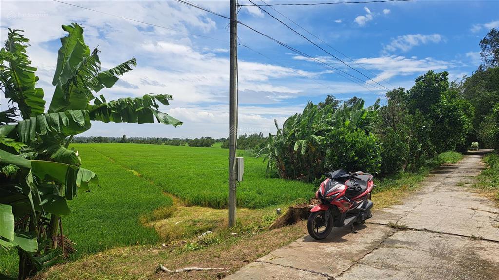 Bán 8 công đất ruộng gáo giồng cao lãnh mặt tiền
