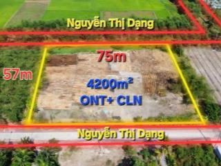 Bán đất mặt tiền nguyễn thị dạng, nhuận đức. củ chi