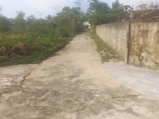 Bán đất đẹp thôn văn minh  tân lâm hương  thạch hà  hà tĩnh