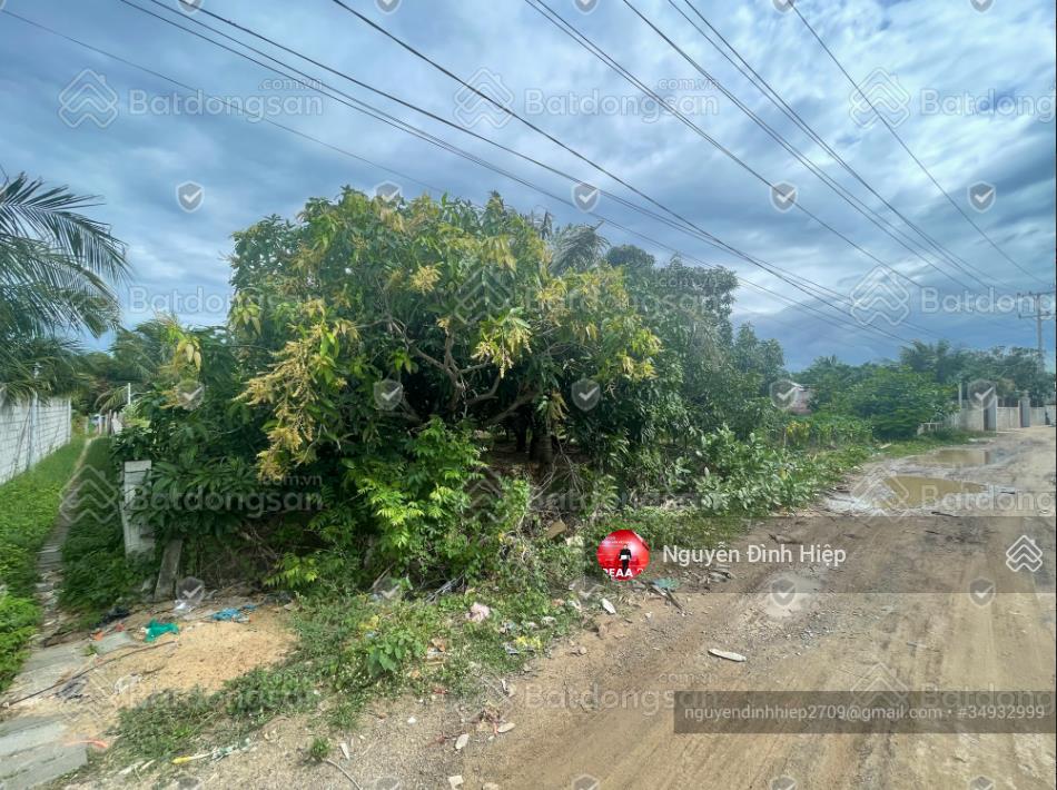 Bán 949m2 đường xuân thuỷ, mũi né đối diện sungroup mũi né và bến du thuyền