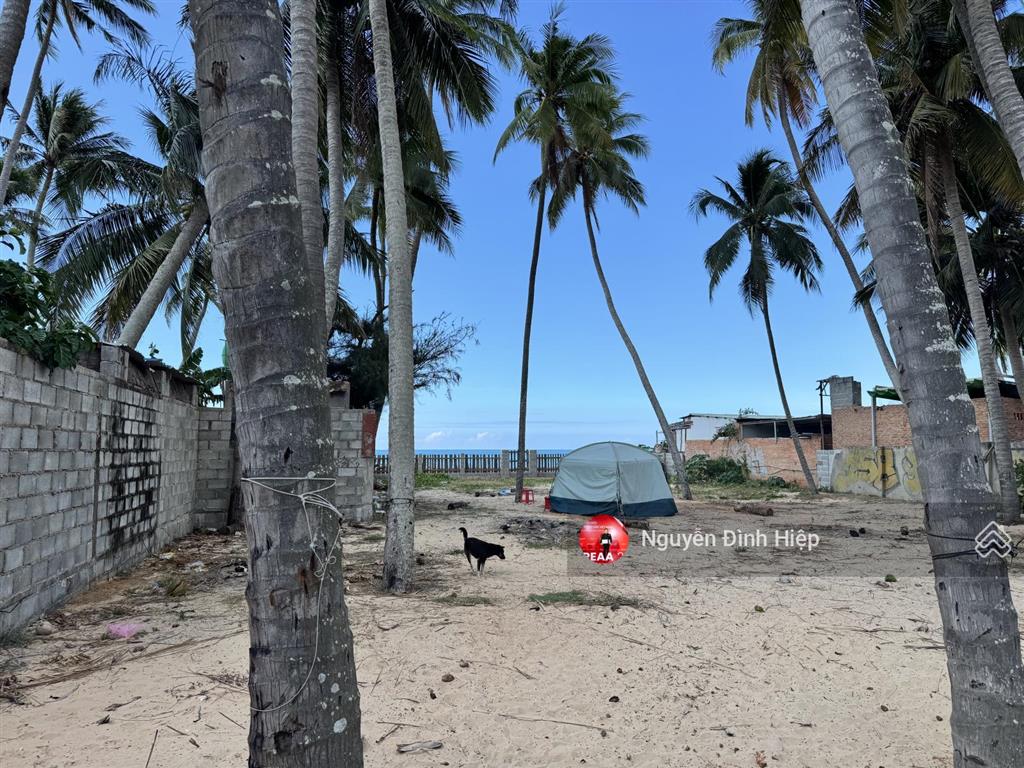 Bán 800m2 có thổ cư mặt tiền biển hoà bình, hàm tiến giá tốt