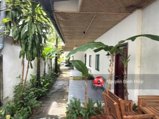 Bán resort 943m2 thổ cư mặt tiền nguyễn đình chiểu, hàm tiến cạnh biển giá tốt