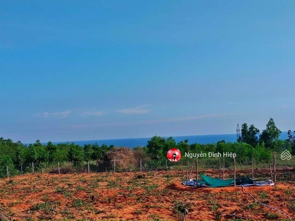 Bán 1000m2 view biển đường trần bình trọng, thiện nghiệp