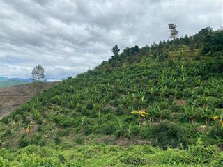 bán 2,5ha đất view Hồ giá 100k/m2 cách Nha Trang 35p LH 0788.558.552