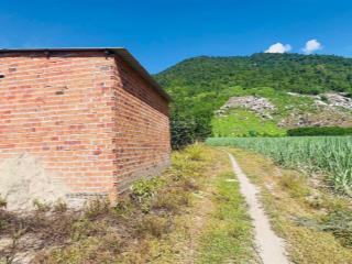 Bán đất có sẵn vườn bưởi 6.000m2 đường ô tô gần trung tâm huyện khánh vĩnh.  0788 558 ***